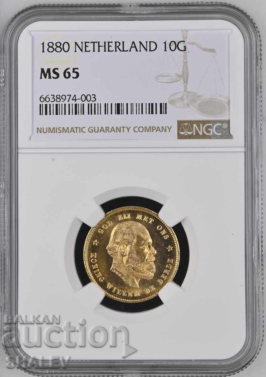 10 Gulden 1880 Olanda - MS65 NGC (aur)