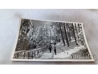 Καρτ ποστάλ Μπόροβετς χειμώνας