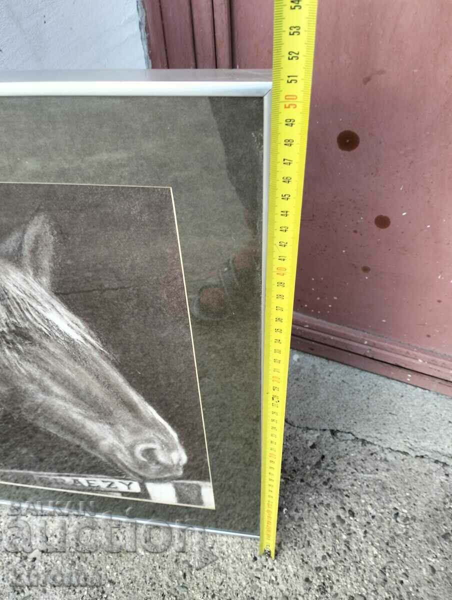 Horse head graphic - 6 Horse head graphic - 6