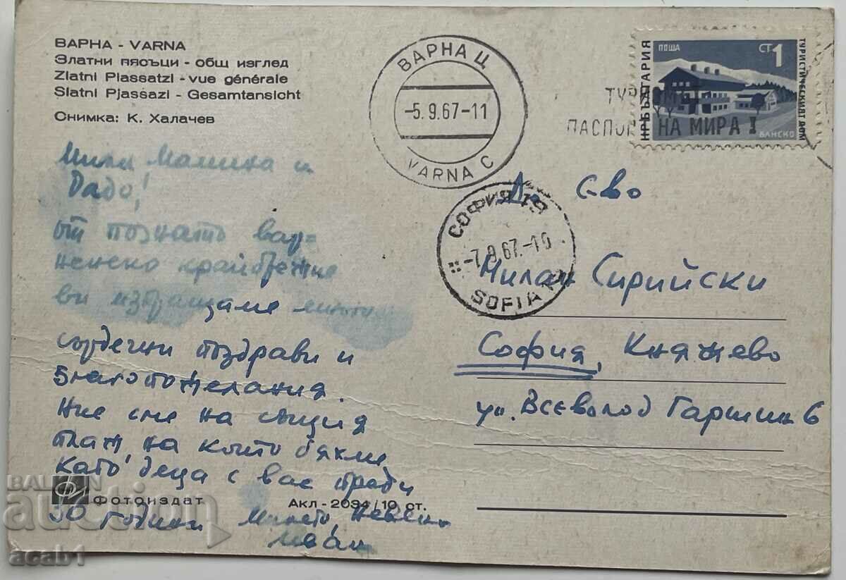 Delivery of Colorful Sots cards from the sea 60 te Delivery of Colorful Sots cards from the sea 60 te