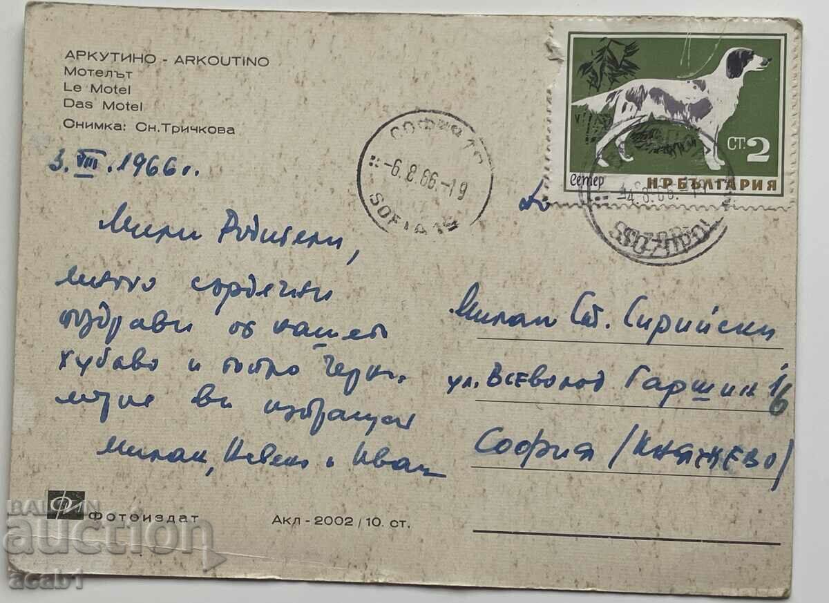 Colorful Sots cards from the sea 60 te - 6 Colorful Sots cards from the sea 60 te - 6