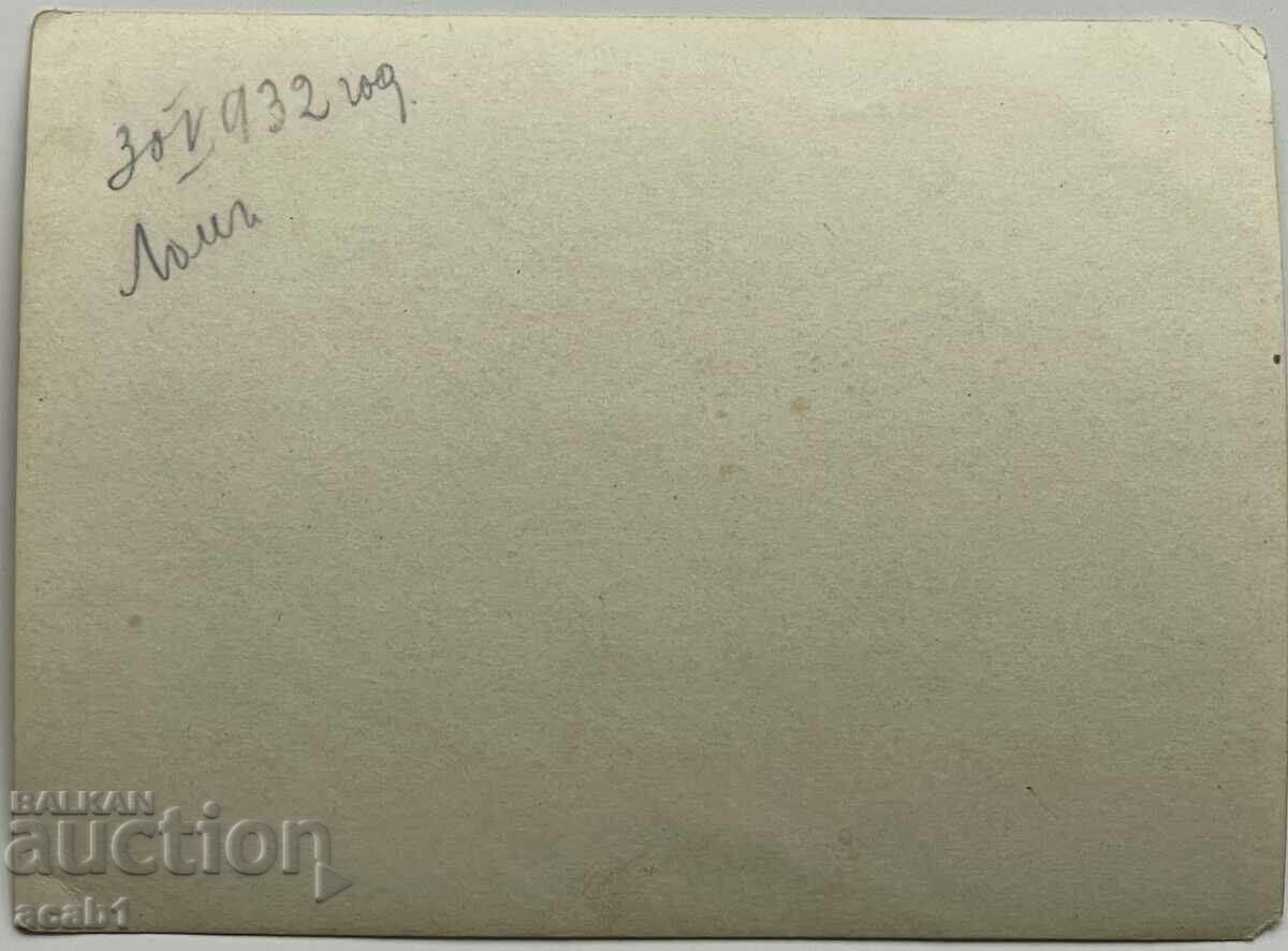 Dunărea lângă Lom 1932 cu preț 7.99 BGN | € 4.09 Dunărea lângă Lom 1932 cu preț 7.99 BGN | € 4.09