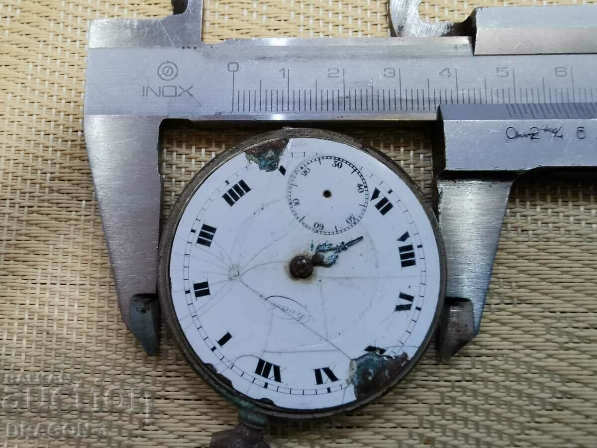 NIVEOLE - 6 NIVEOLE - 6