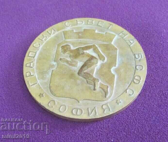 Vintich Bronze Plaque Sofia Bulgaria - 5