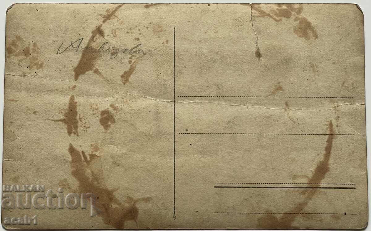 Delivery of Hisaria the Camels Delivery of Hisaria the Camels