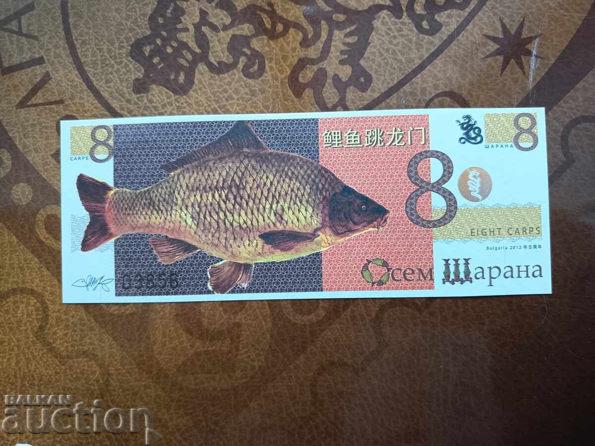 8 Sharans from 2012 UNC 8 Sharans from 2012 UNC