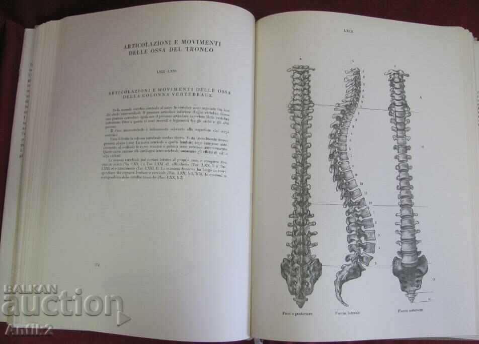 Delivery of 1978 Human Anatomy book Delivery of 1978 Human Anatomy book