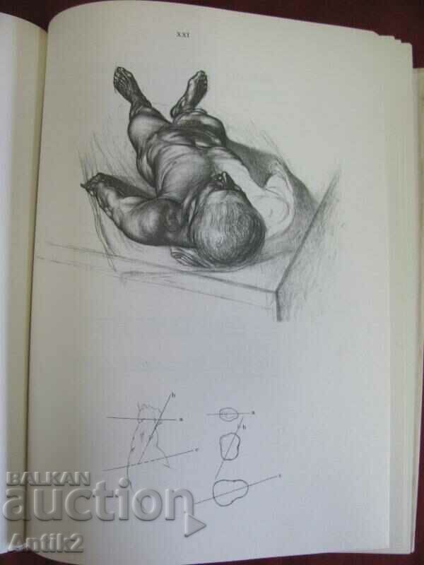 1978 Human Anatomy book - 5 1978 Human Anatomy book - 5