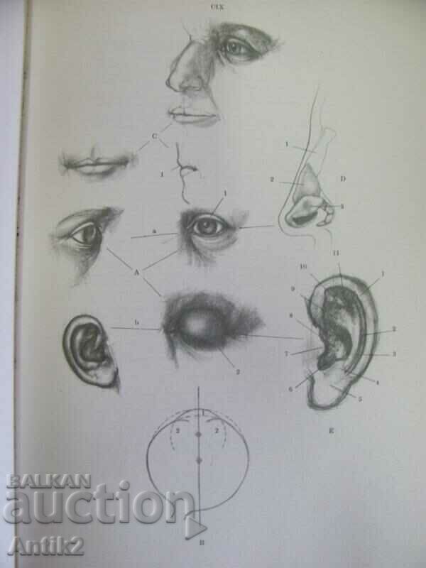 1978 Human Anatomy book - 6 1978 Human Anatomy book - 6