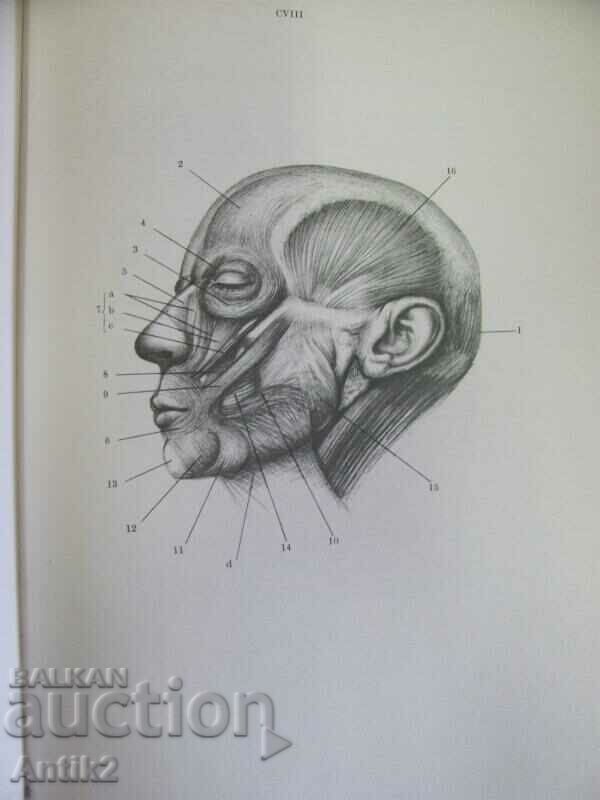 1978 Human Anatomy book - 7 1978 Human Anatomy book - 7