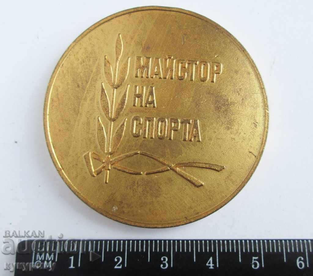 Auction Star Sots table medal plaque Master of Sports NRB Auction Star Sots table medal plaque Master of Sports NRB