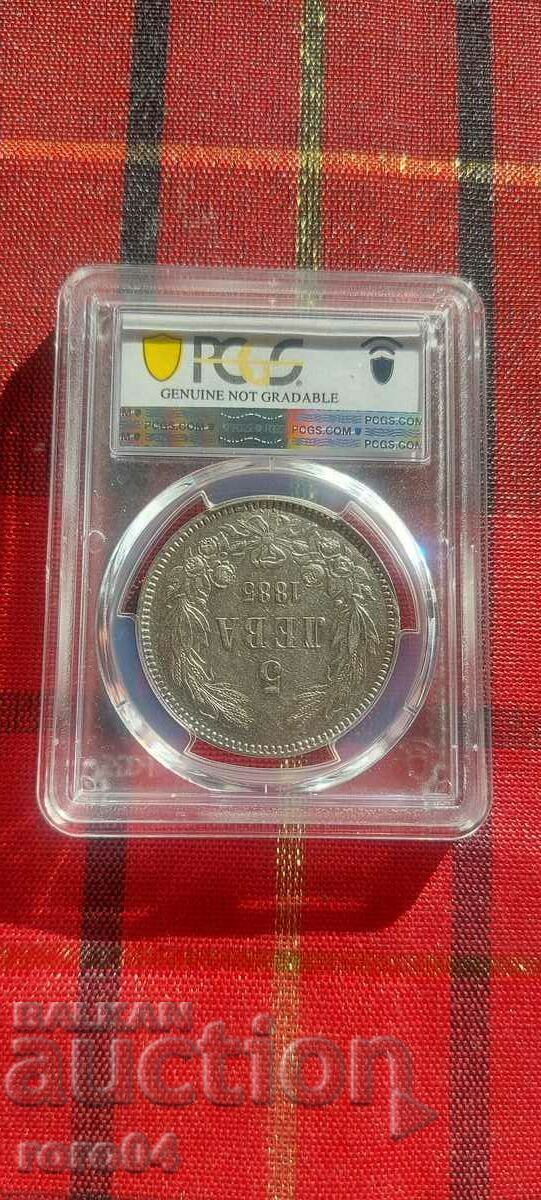 Auction 5 LEVA 1885 - PCGS ( XF Detail ) Auction 5 LEVA 1885 - PCGS ( XF Detail )