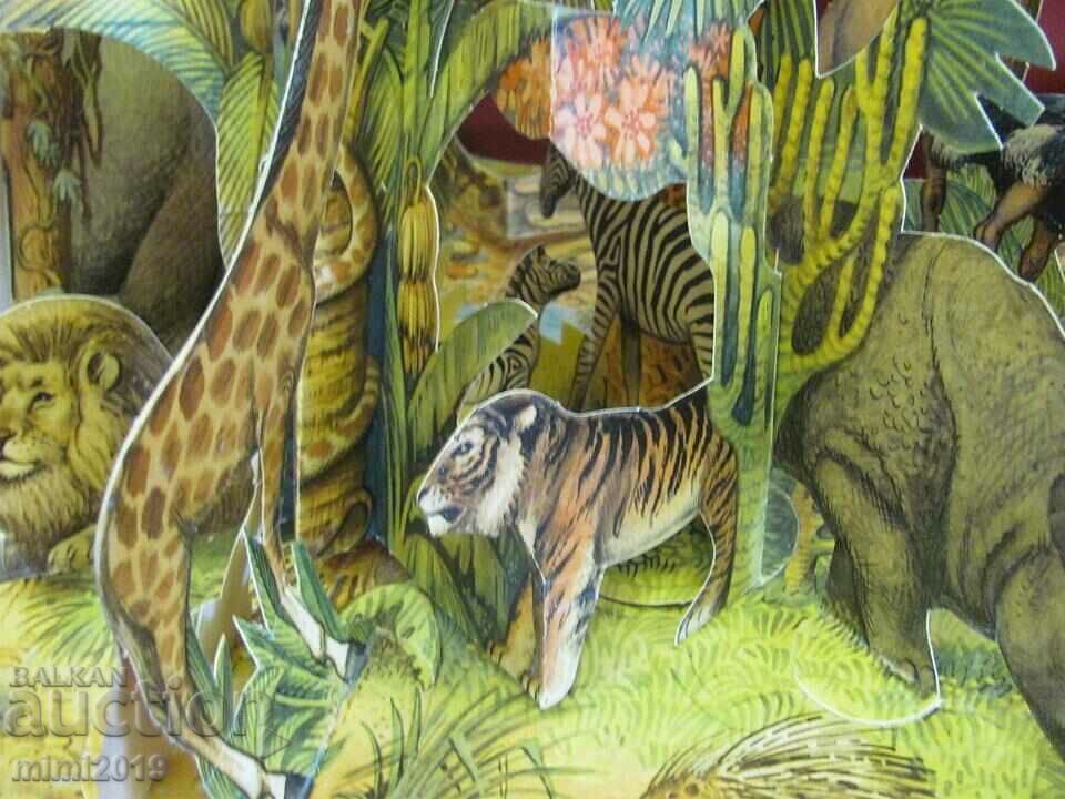 Vintich Children's Book Kubasta - Jungle 3D - 5