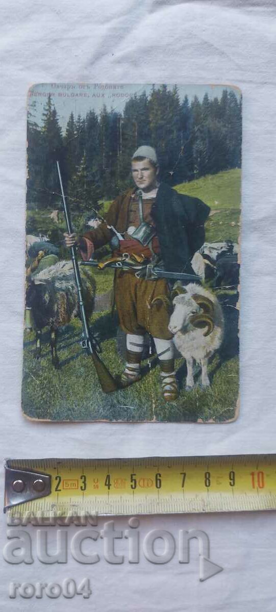 Licitație PĂSTORUL RHODESIAN