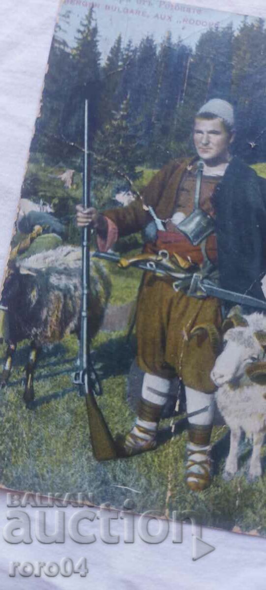 Delivery of RHODESIAN SHEPHERD Delivery of RHODESIAN SHEPHERD