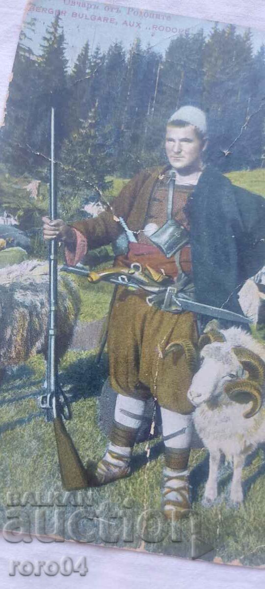 RHODESIAN SHEPHERD - 5 RHODESIAN SHEPHERD - 5