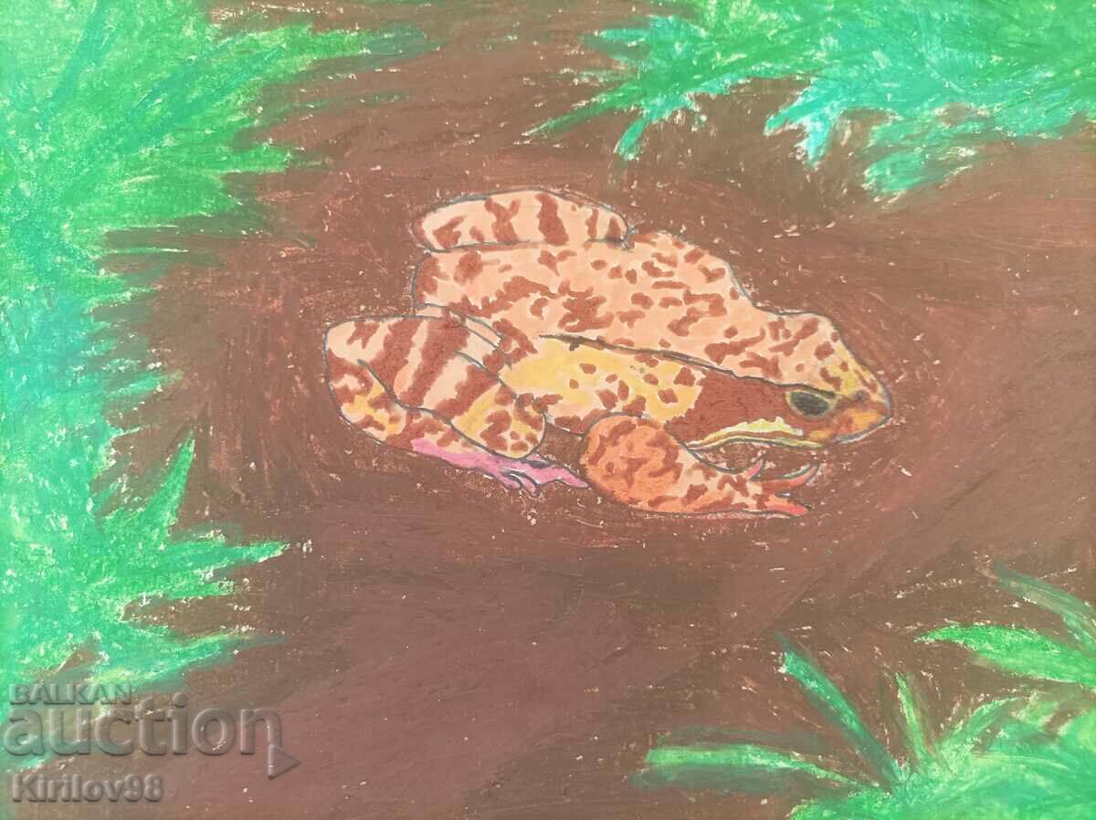 Color drawing of a frog