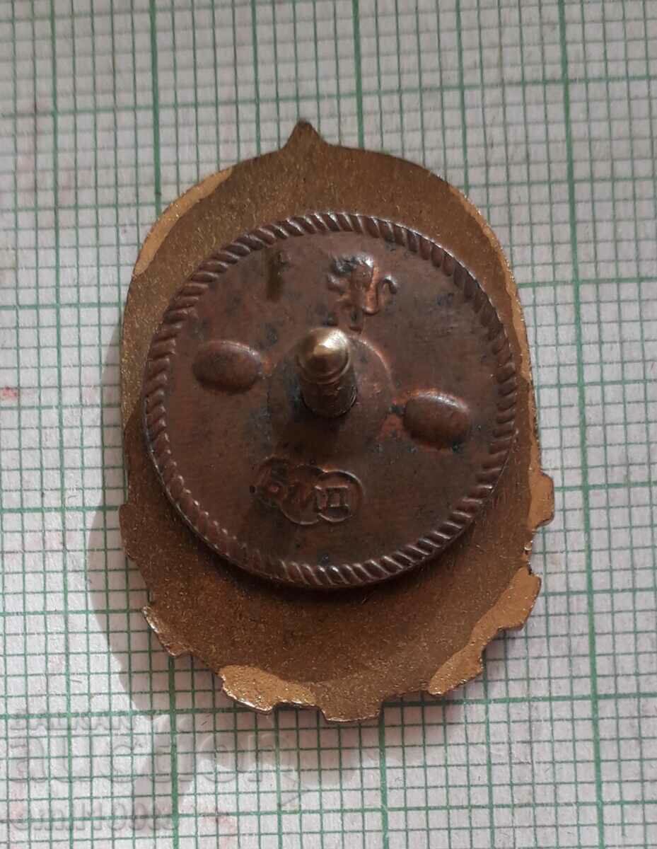 Delivery of Badge - Young technician - on screw Delivery of Badge - Young technician - on screw