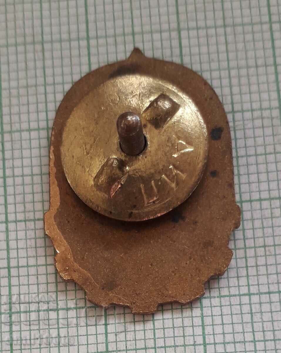 Badge - Young technician - on screw - 5