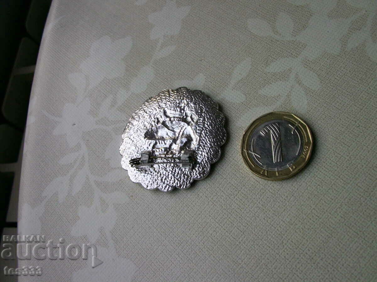 Licitație Broșă-insignă Licitație Broșă-insignă