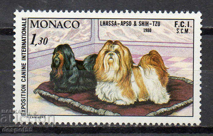 1980. Monaco. International Dog Show, Monte Carlo.