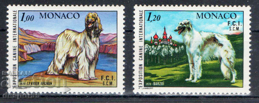 1978. Monaco. International dog show.