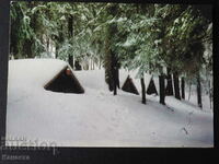 Batak winter camp Tehran K 402