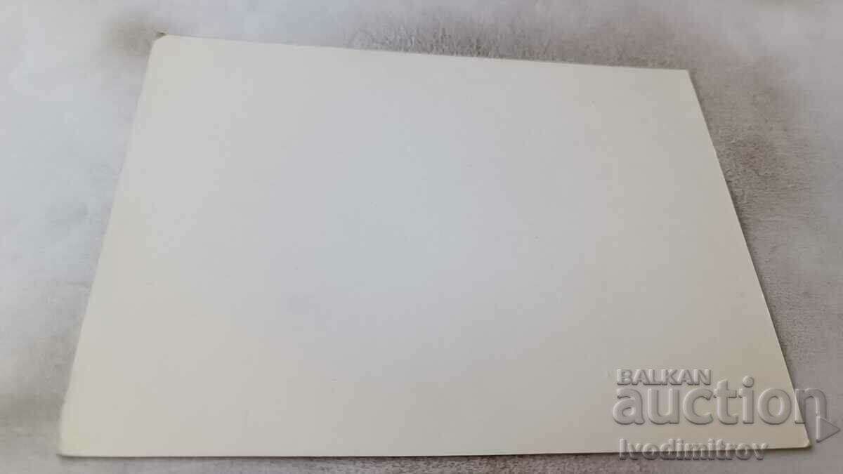 Postcard Amanda Lear (France) with price 1.35 BGN | € 0.69