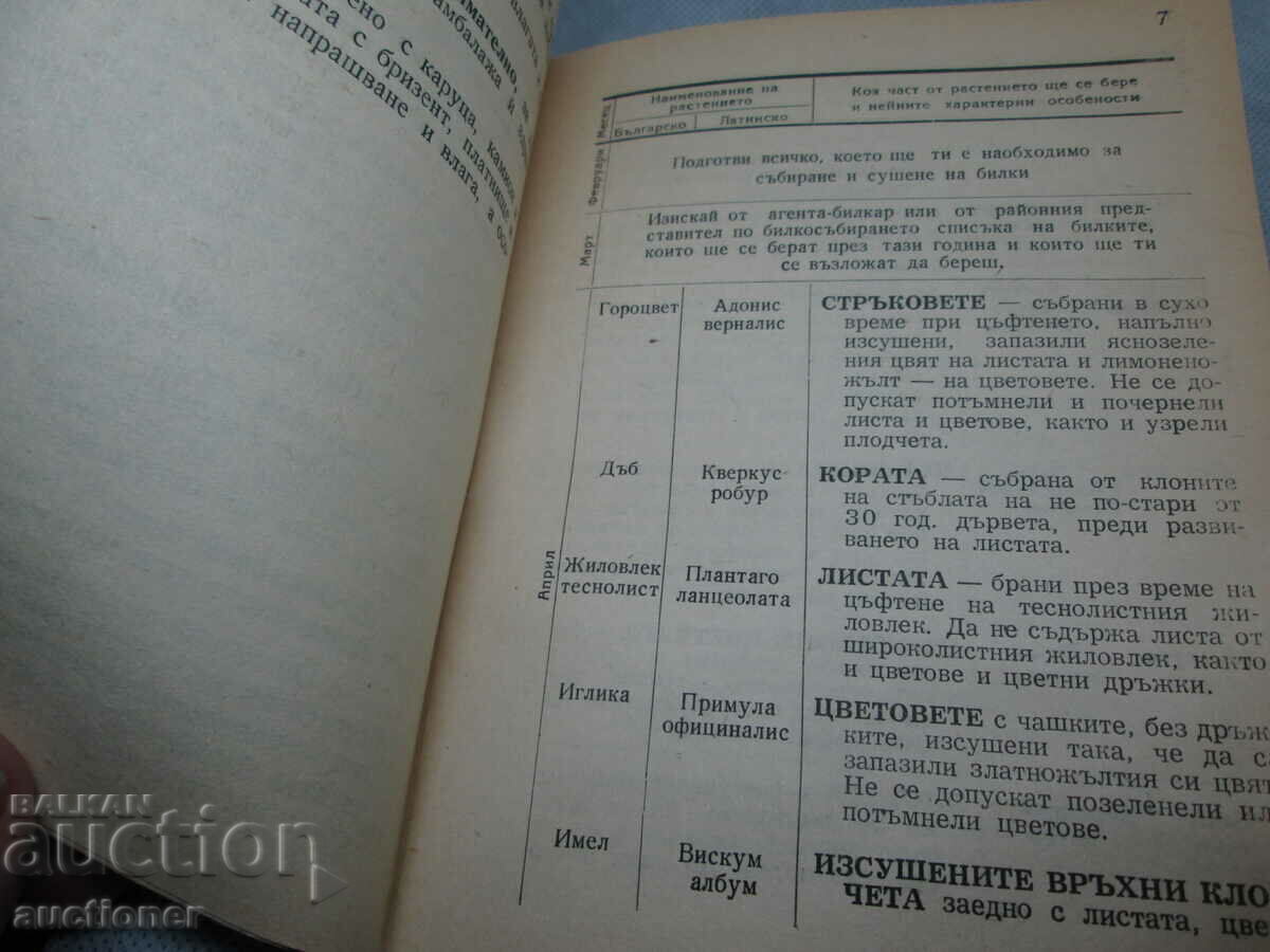 Auction  HERB COLLECTION CALENDAR-1949 M.N.Z.