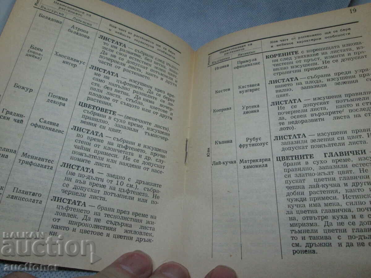 HERB COLLECTION CALENDAR-1949 M.N.Z. - 5