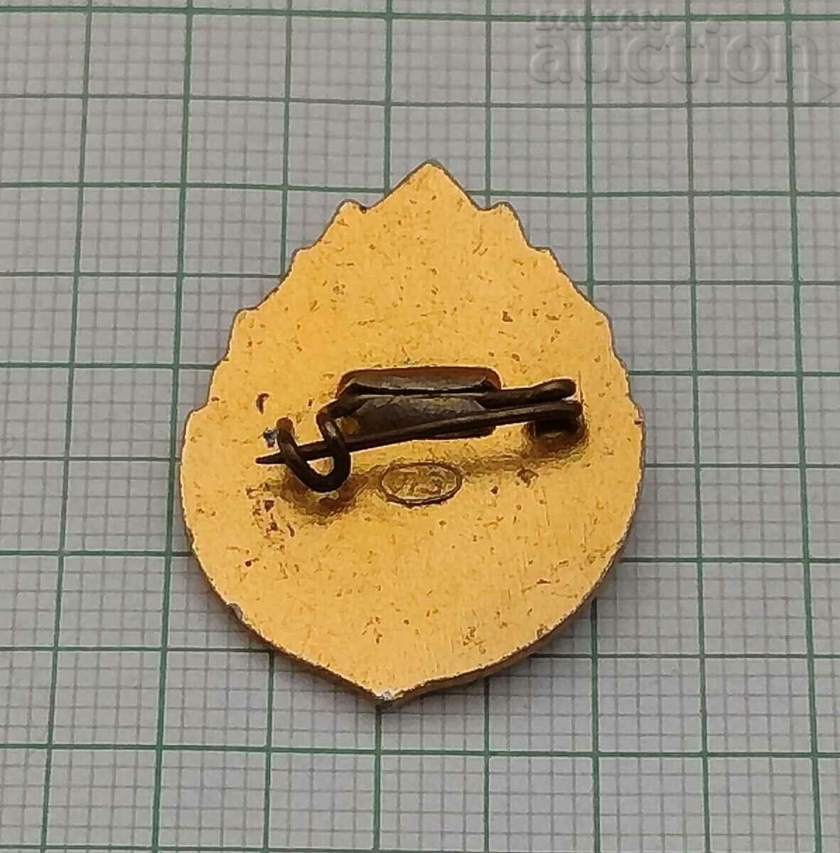 YOUNG FRIEND OF NATURE RSFSR BADGE with price 2.00 BGN | € 1.02 YOUNG FRIEND OF NATURE RSFSR BADGE with price 2.00 BGN | € 1.02