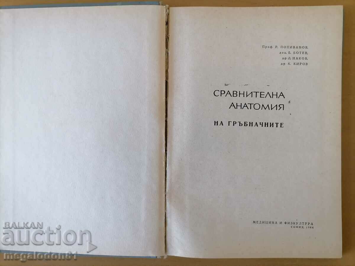 Auction  Comparative Vertebrate Anatomy, ed. 1966