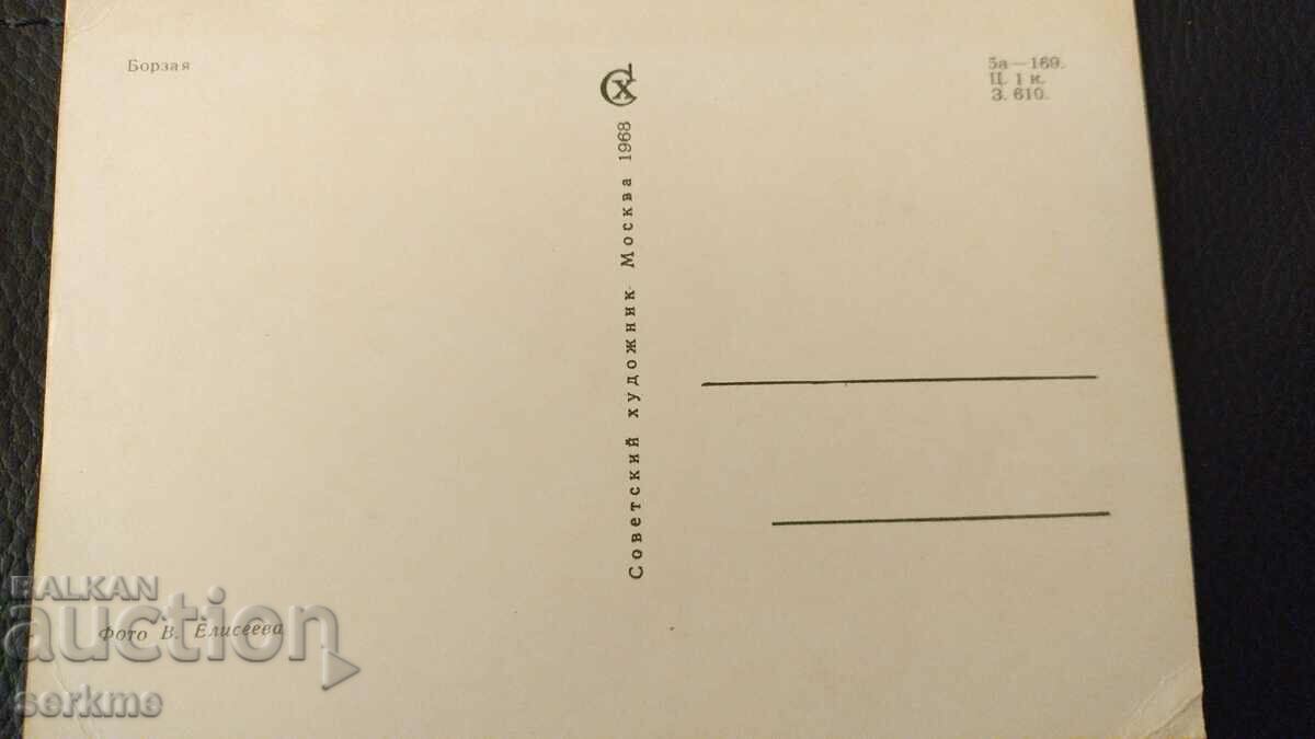 Auction Card Auction Card