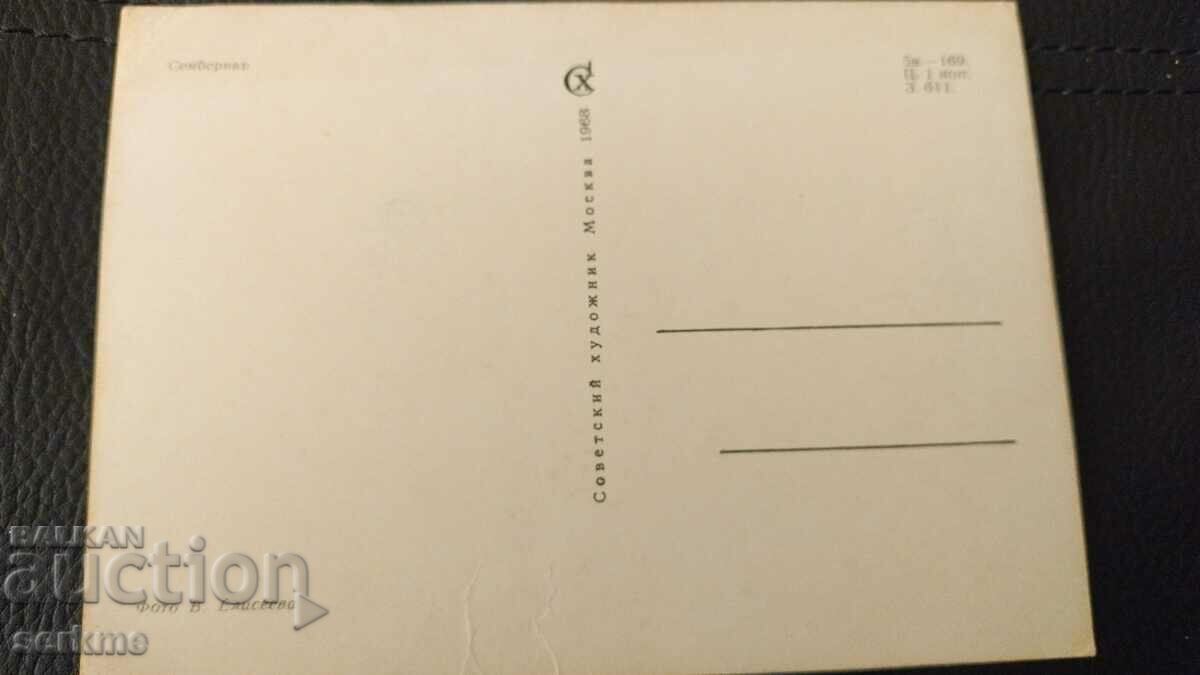 Auction Card Auction Card