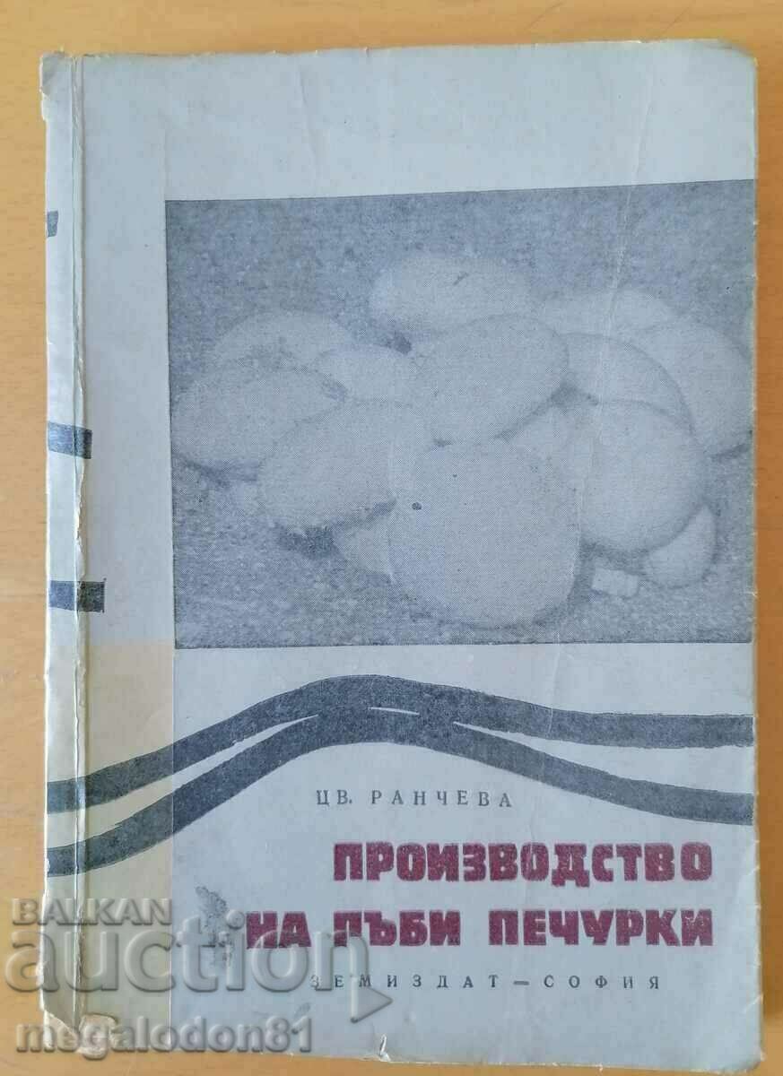 Производство на гъби, печурки - Цв. Ранчева