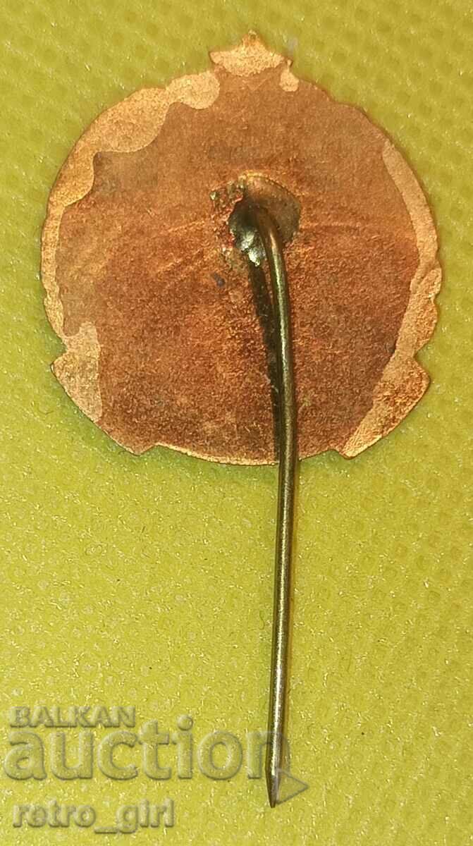 Badge, badge. with price 9.90 BGN | € 5.06 Badge, badge. with price 9.90 BGN | € 5.06