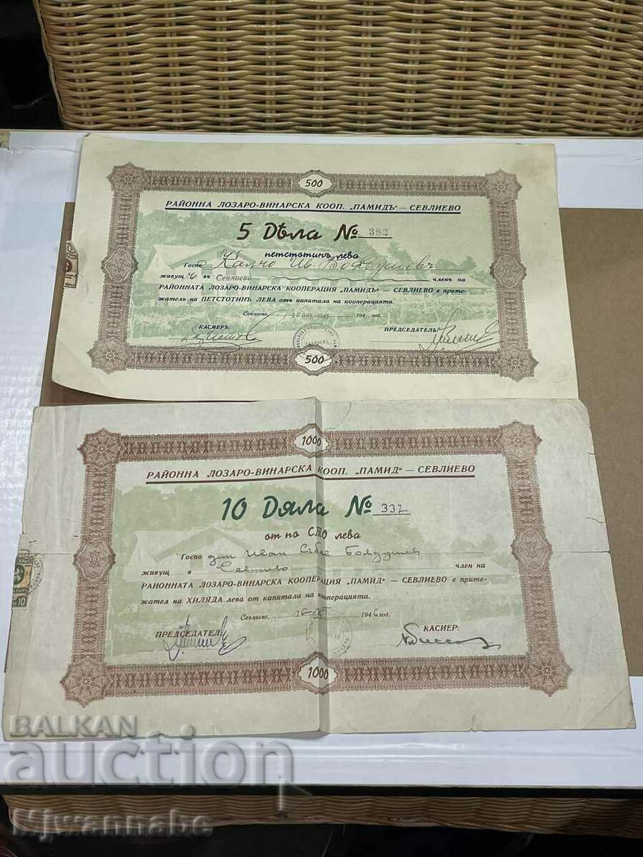 Sevlievo, lot documents shares of BGN 100 each, 1946.