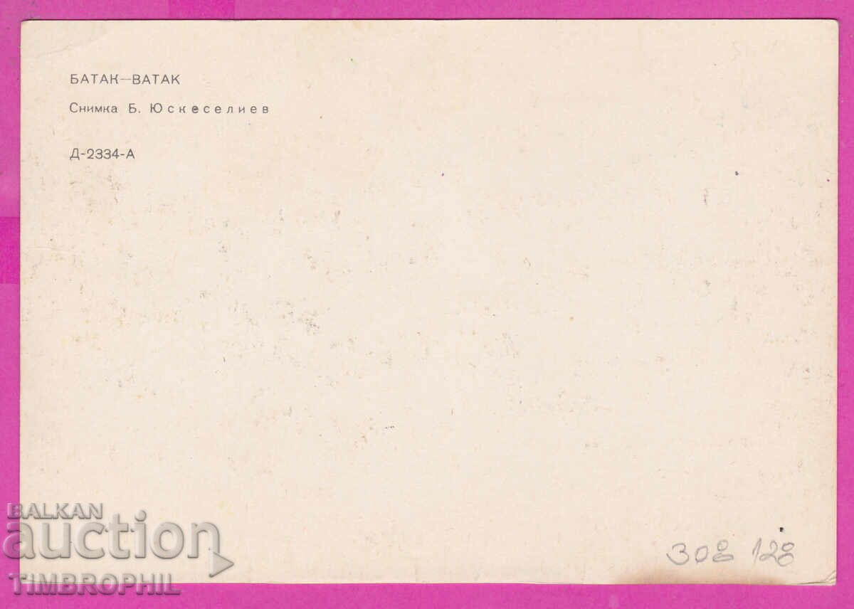 Delivery of 308128 / Batak - Panorama D-2334-А Fotoizdat Bulgaria PK Delivery of 308128 / Batak - Panorama D-2334-А Fotoizdat Bulgaria PK