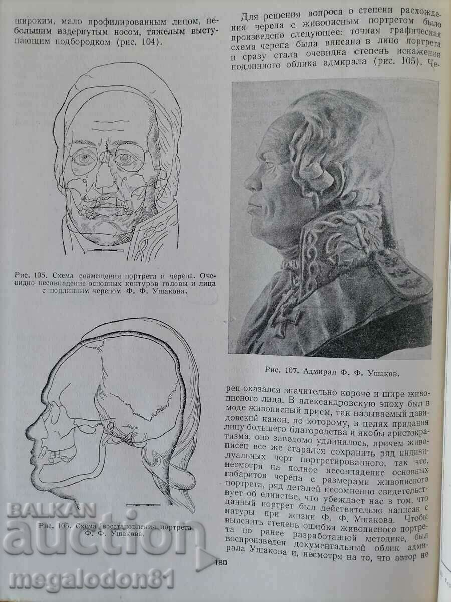 Auction Basics of restoration of faces on the skull - M.M. Gerasimov Auction Basics of restoration of faces on the skull - M.M. Gerasimov