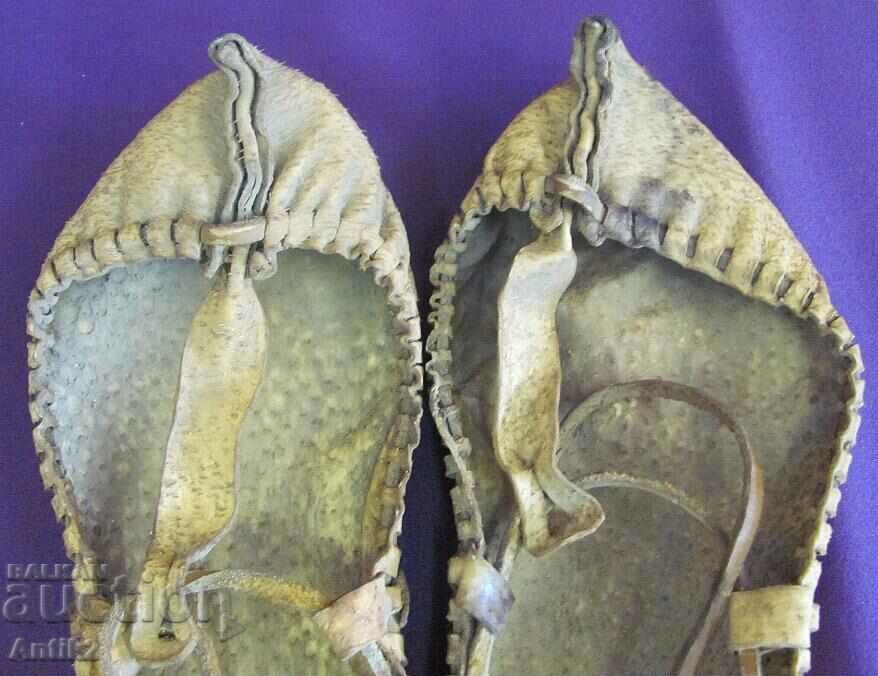 Παράδοση Πρωτότυπο αυθεντικό Cervuli του 19ου αιώνα