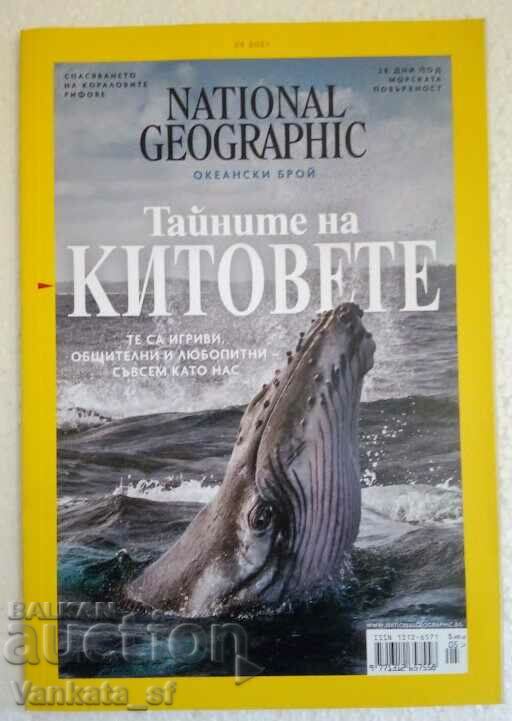 National Geographic: Май. 2021 - Тайните на китовете