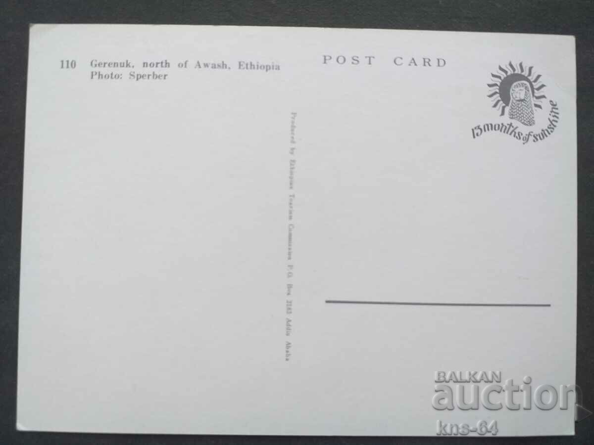 Animale cu preț 1.00 BGN | € 0.51 Animale cu preț 1.00 BGN | € 0.51