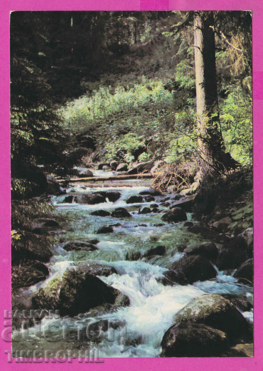 Auction  308212 / Borovets Reka Bistrica Akl-2006 Photo Edition Bulgaria