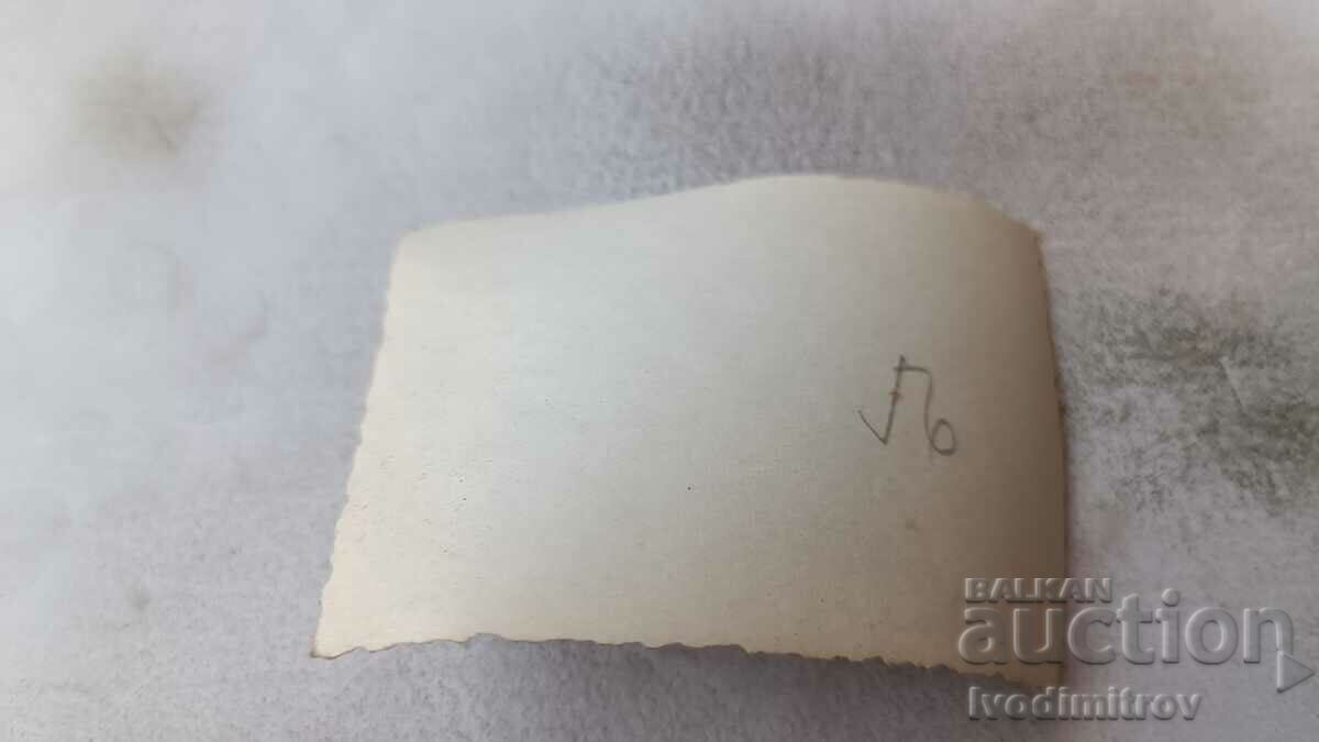 Photo Men and women on a cliff above the sea with price 1.65 BGN | € 0.84 Photo Men and women on a cliff above the sea with price 1.65 BGN | € 0.84