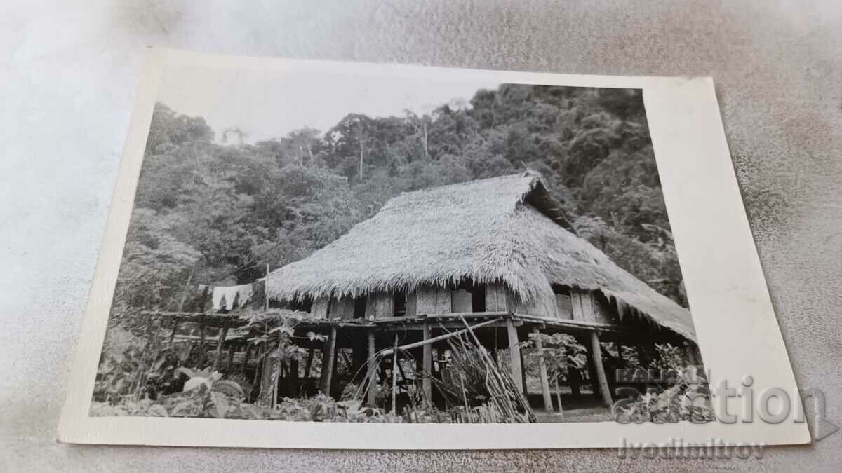 Снимка Виетнам Къщата на змиеловеца Ки в джунглата Кук - Фън