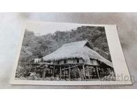 Photo Vietnam The house of the snake catcher Ki in the Kuk-Fung jungle