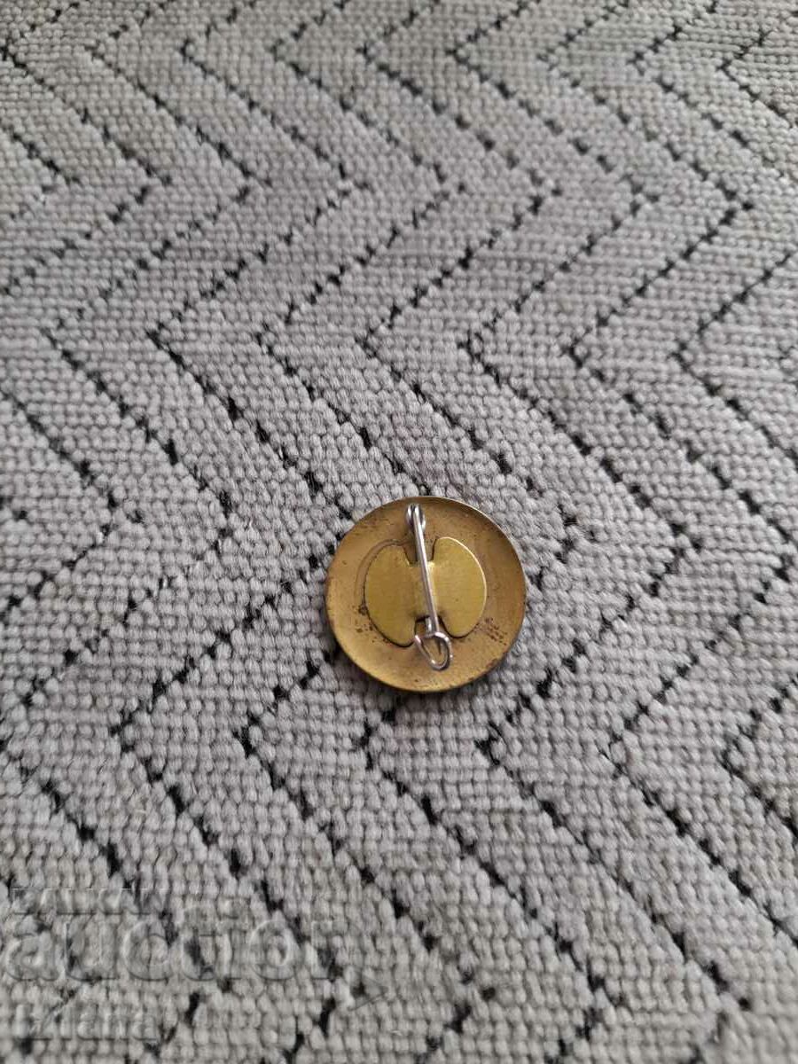 Old badge of the G. Dimitrov Hospital of Sofia with price 12.00 BGN | € 6.14 Old badge of the G. Dimitrov Hospital of Sofia with price 12.00 BGN | € 6.14