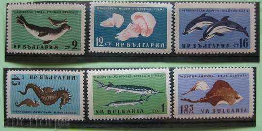 1292-1297  -  Черноморска фауна.