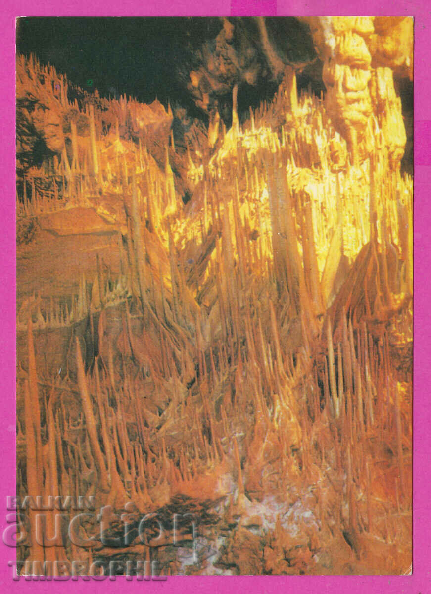 Auction 308326 / Brestnitsa Cave "Saeva Dupka" D-1875-А Photo Edition Auction 308326 / Brestnitsa Cave "Saeva Dupka" D-1875-А Photo Edition