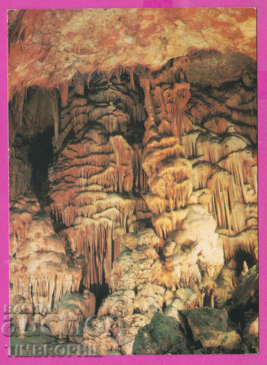 308328 / Brestnitsa Cave "Saeva Dupka" D-1873-А Photo Edition